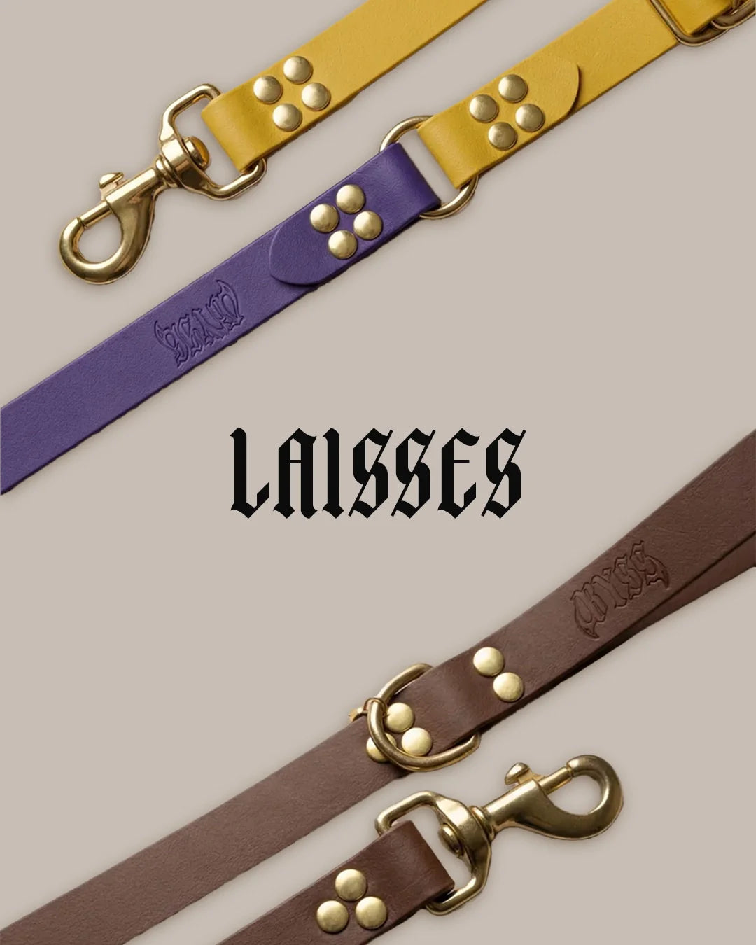 Laisses