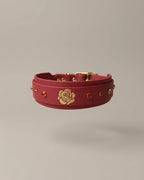 Collier - Chapitre
