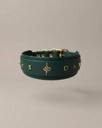 Collier - Chapitre