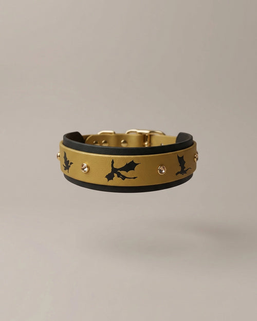 Collier - Chapitre
