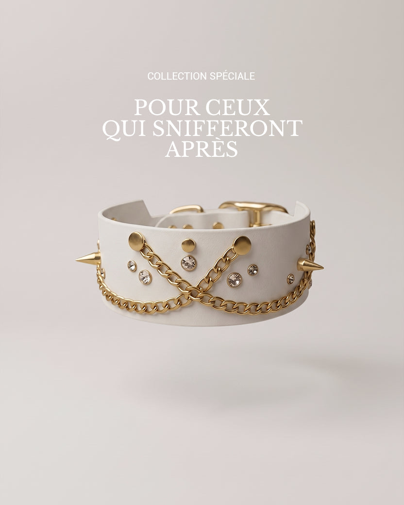 Collier - Flair clair
