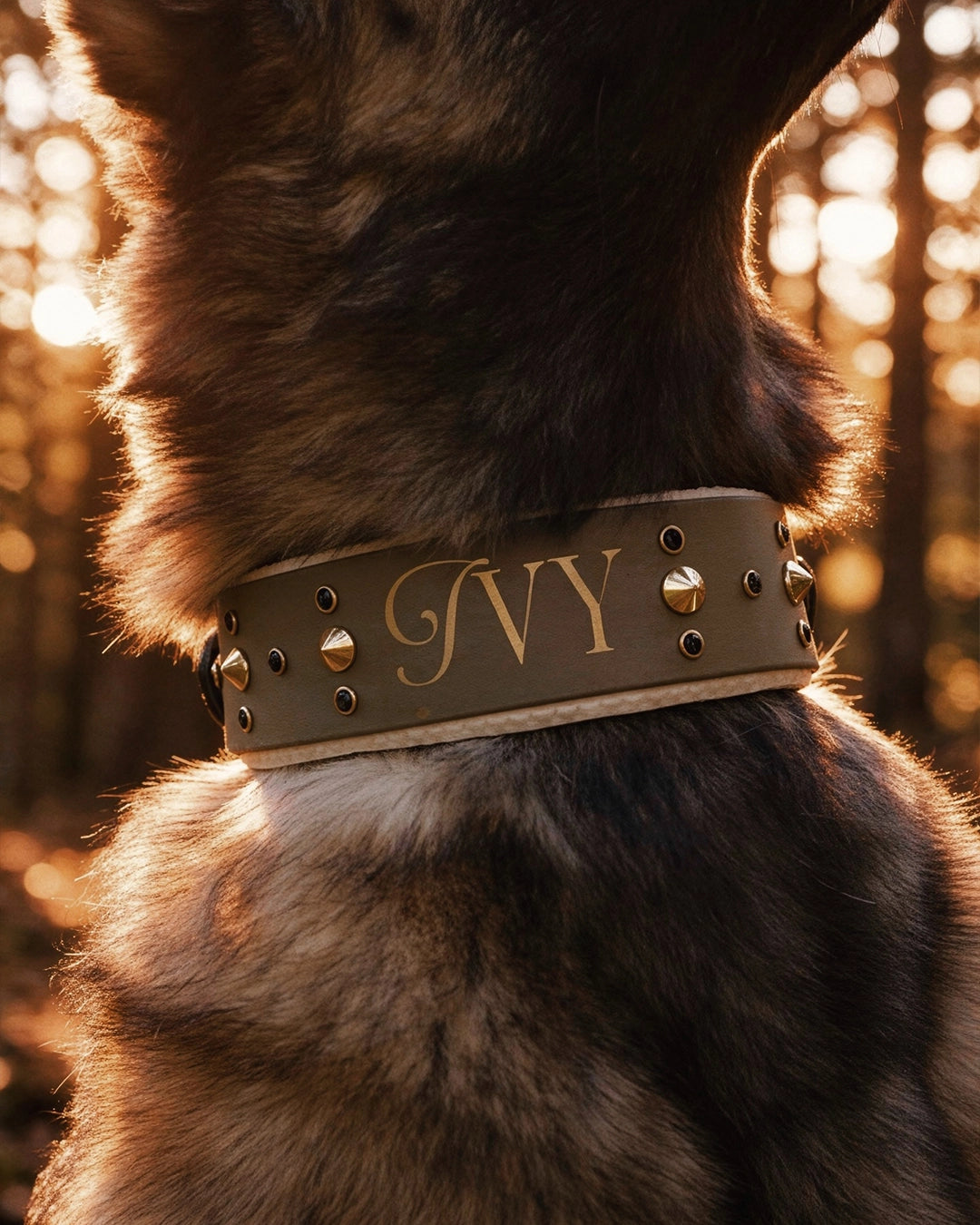 Collier - Main character