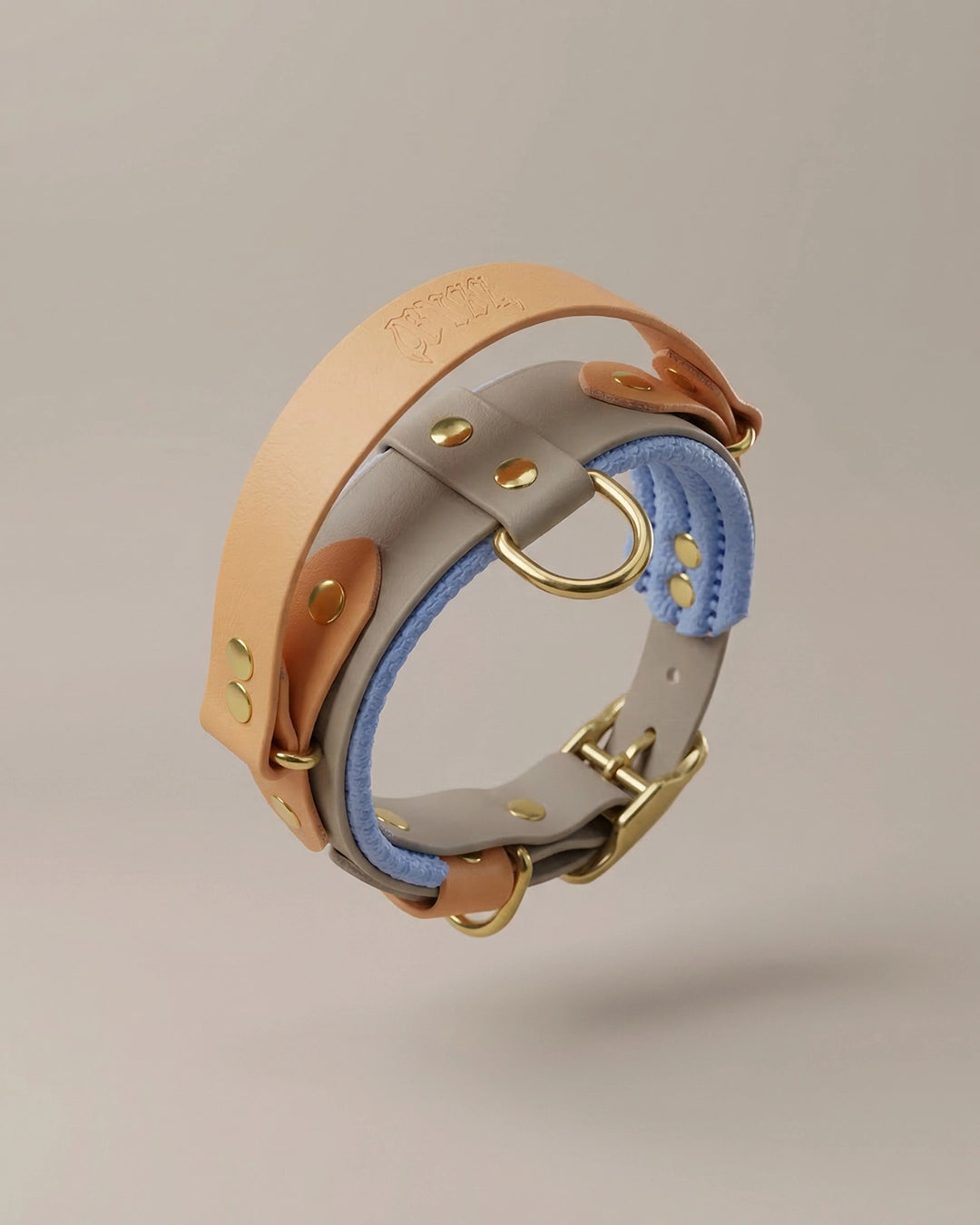 Collier - Rider