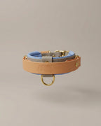 Collier - Rider