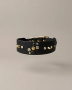 Collier - Satellite