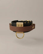 Collier - Support (50 mm)