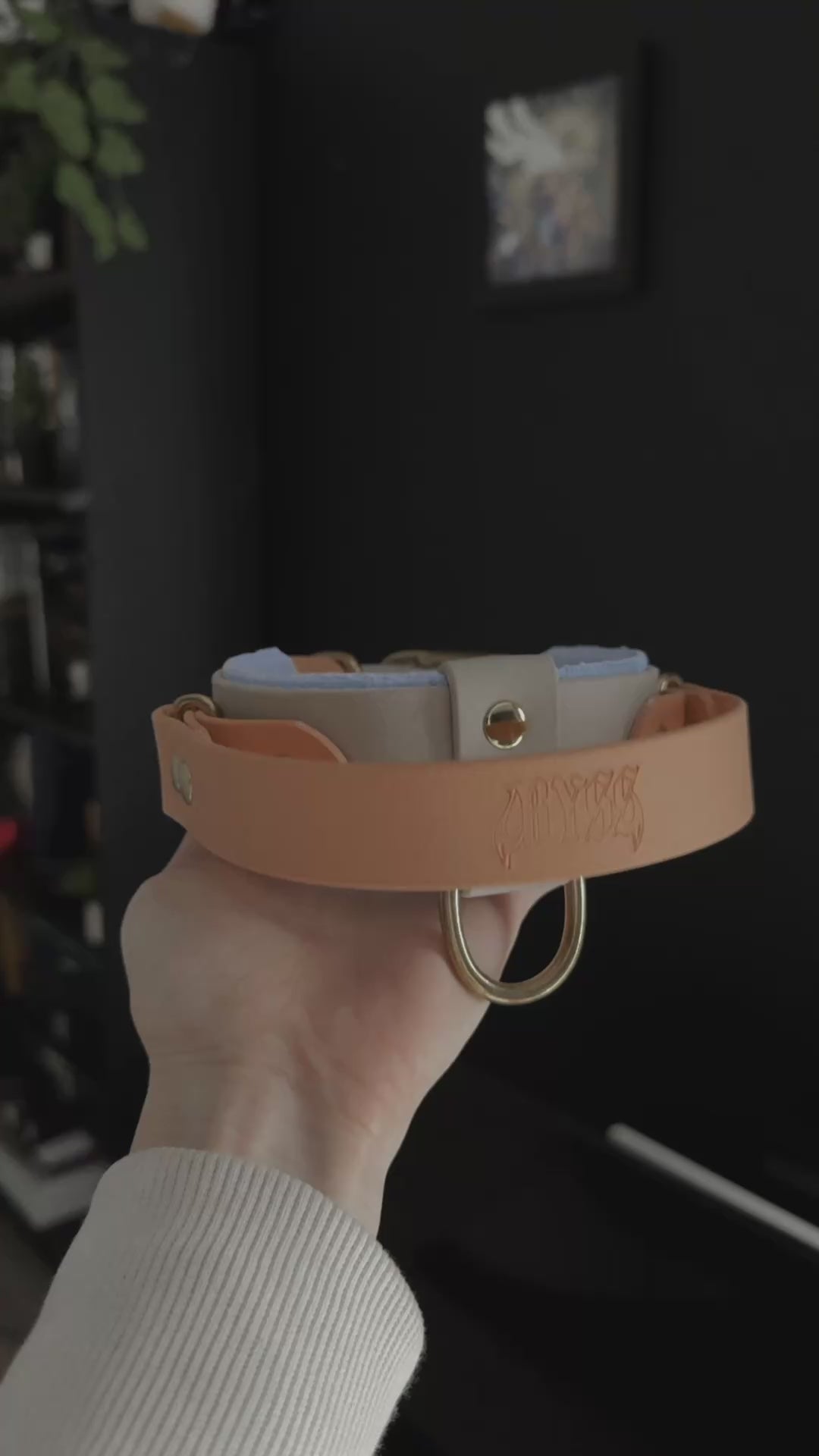 Collier - Rider